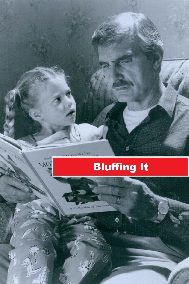 Постер Bluffing It